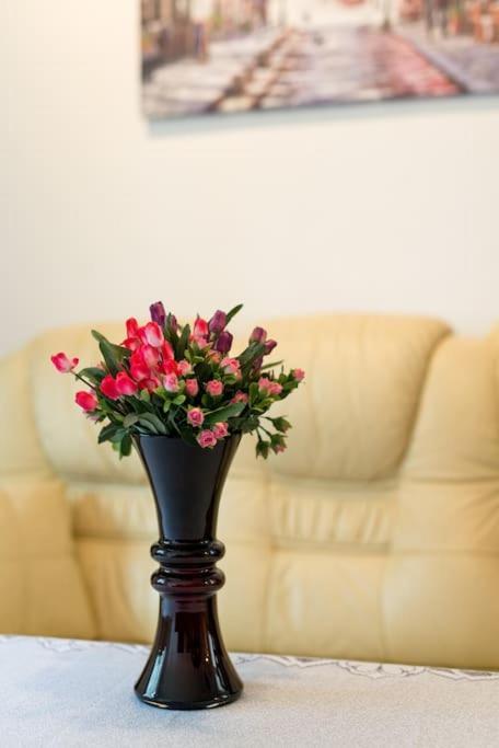 Big Cosy Retro Apt, Free Parking, 15Min Oldtown & Kazimierz - By Homelike Krakow Ngoại thất bức ảnh
